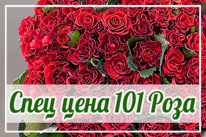 Акционные букеты 101 роза с доставкой