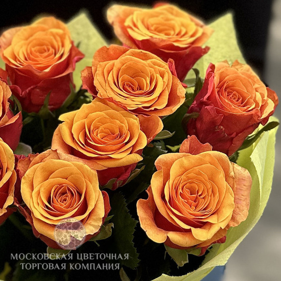 Букет 9 оранжевых роз "Солнечное Сияние"